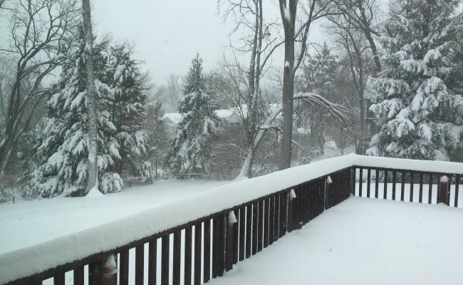 Winter Storm Jonas brings 20 inches of snow